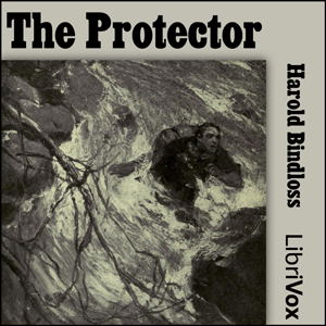 The Protector