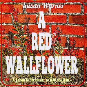 A Red Wallflower