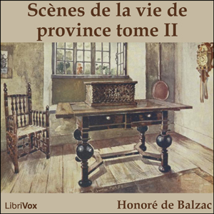 Scènes de la vie de province tome II