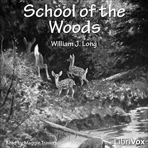 School of The Woods