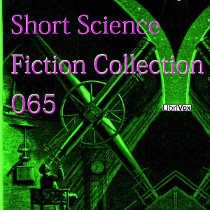 Short Science Fiction Collection 065