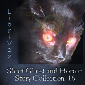 Short Ghost and Horror Story Collection Vol. 016