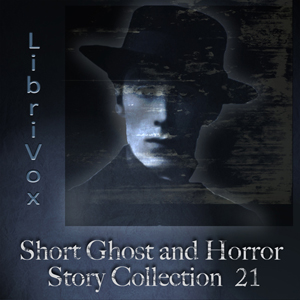 Short Ghost and Horror Story Collection 021