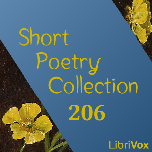 Short Poetry Collection 206