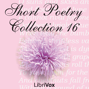 Short Poetry Collection 016