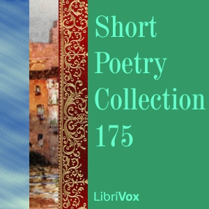 Short Poetry Collection 175