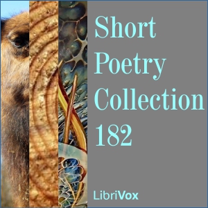 Short Poetry Collection 182