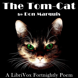 The Tom-Cat