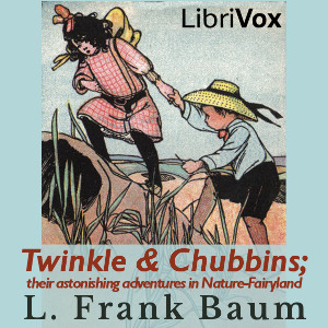 Twinkle and Chubbins; Their Astonishing Adventures in Nature-Fairyland