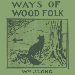 Ways of Wood Folk