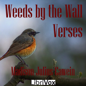 Weeds by the Wall: Verses