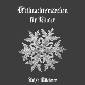 Weihnachtsmaerchen fuer Kinder