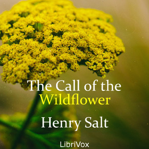 The Call of the Wildflower