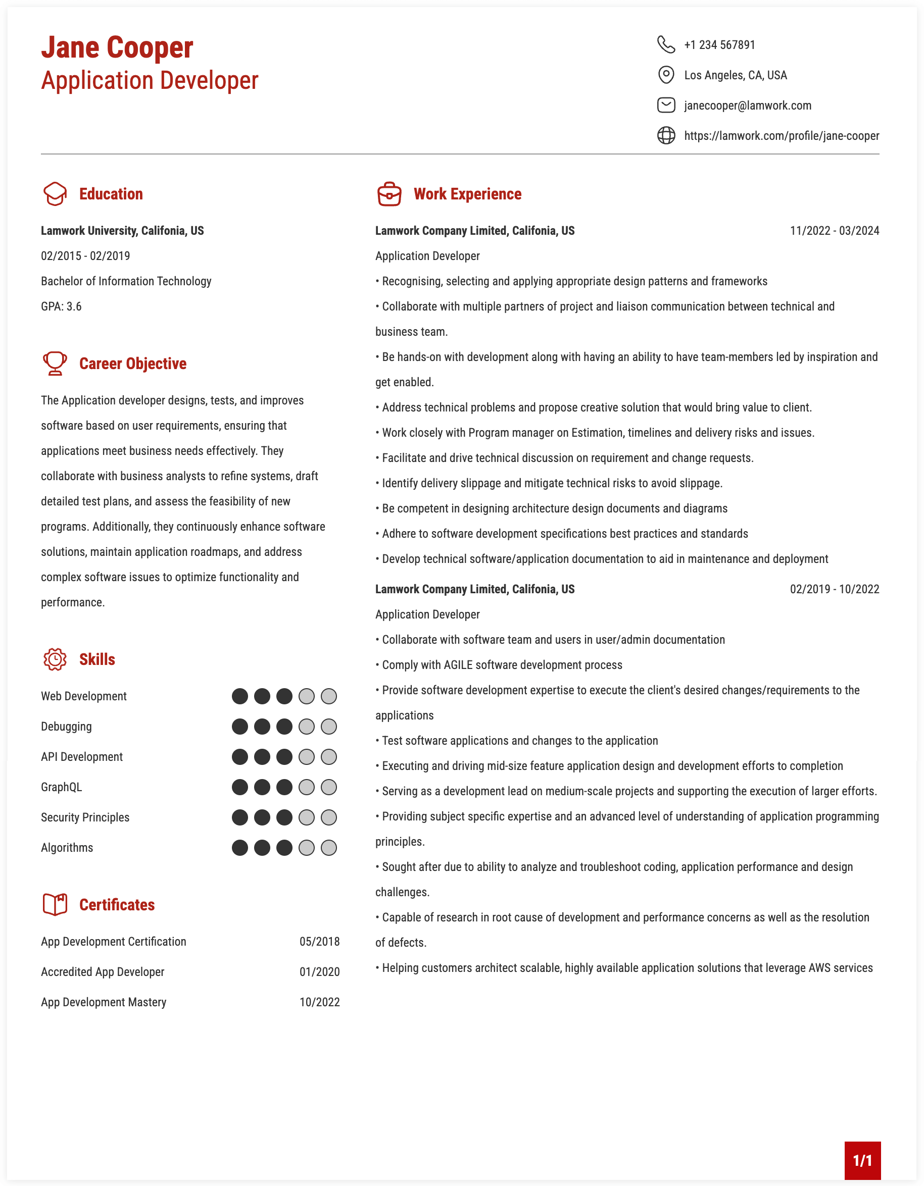 Application Developer Resume Example