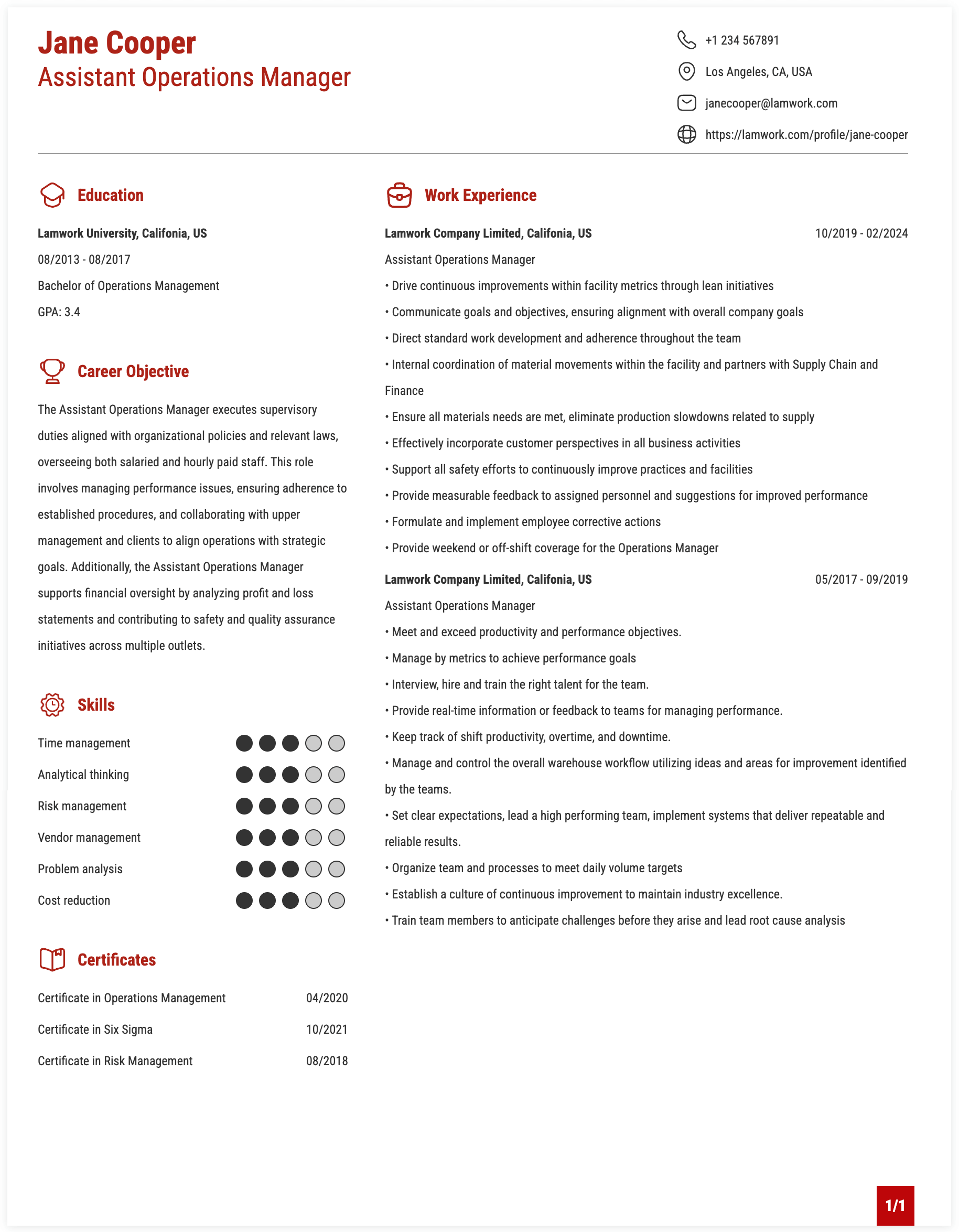 Assistant Operations Manager Resume Example