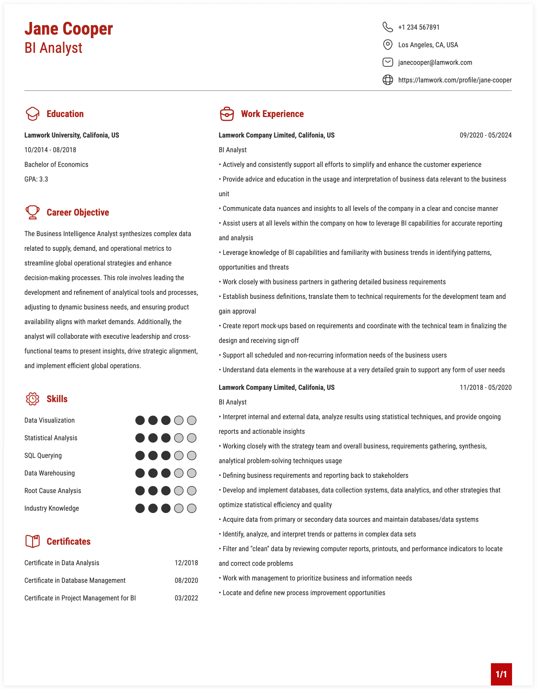 BI Analyst Resume Example