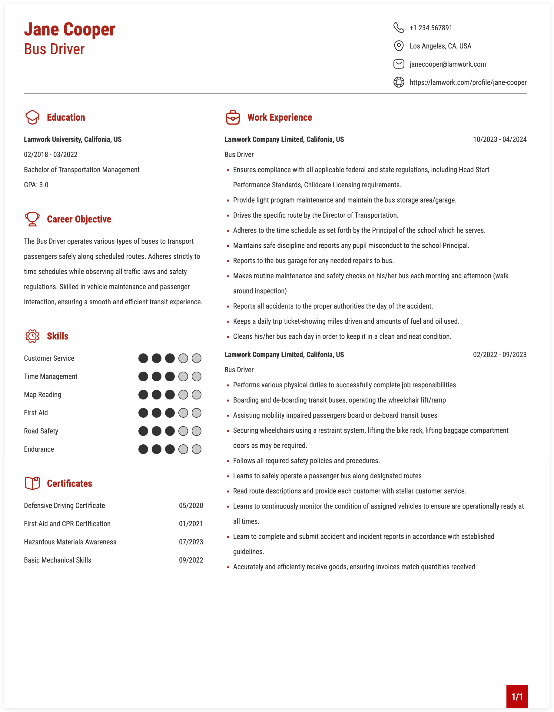 Bus Driver Resume Introduction Examples Bus Driver Resume Example