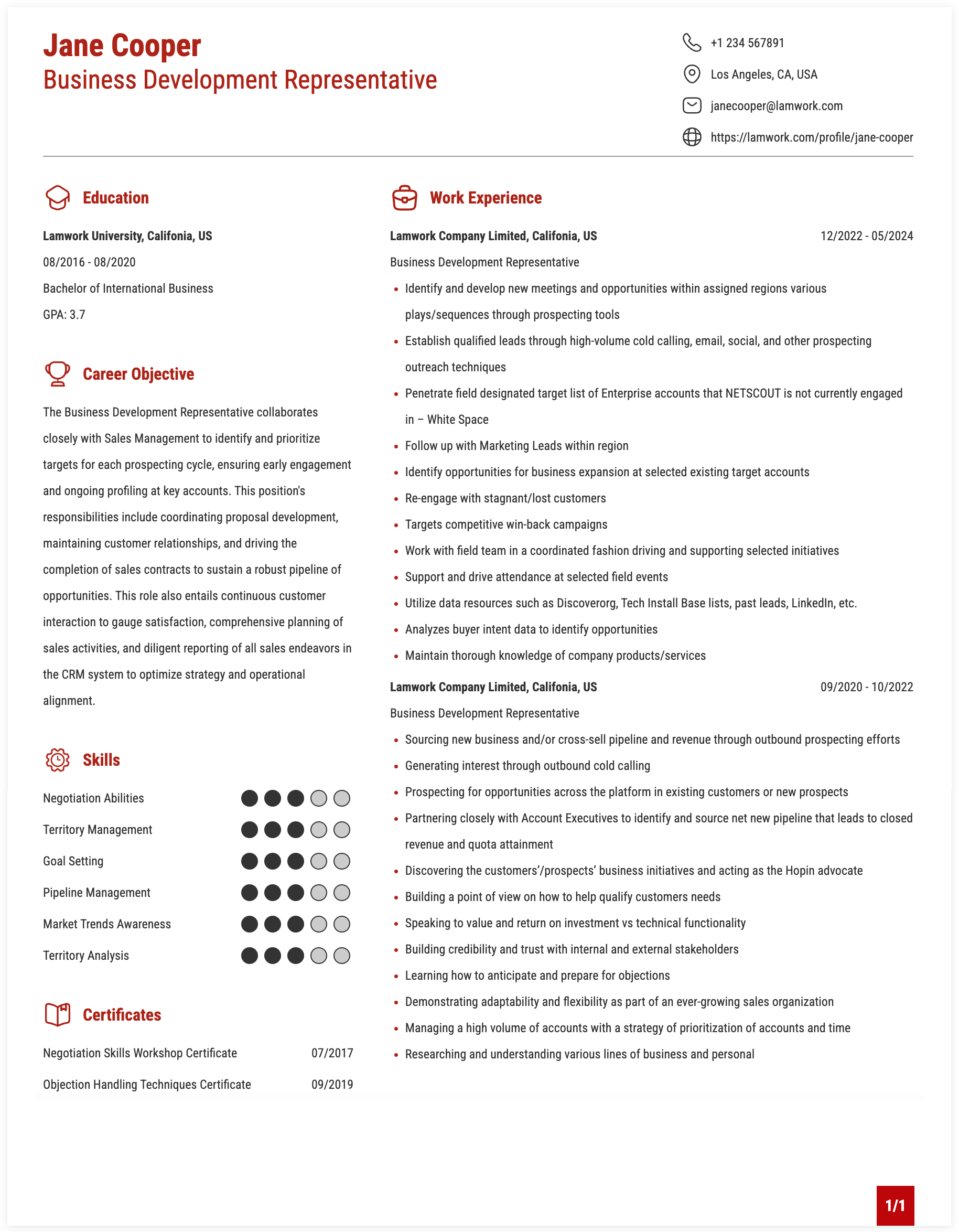 Business Development Representative Resume Example
