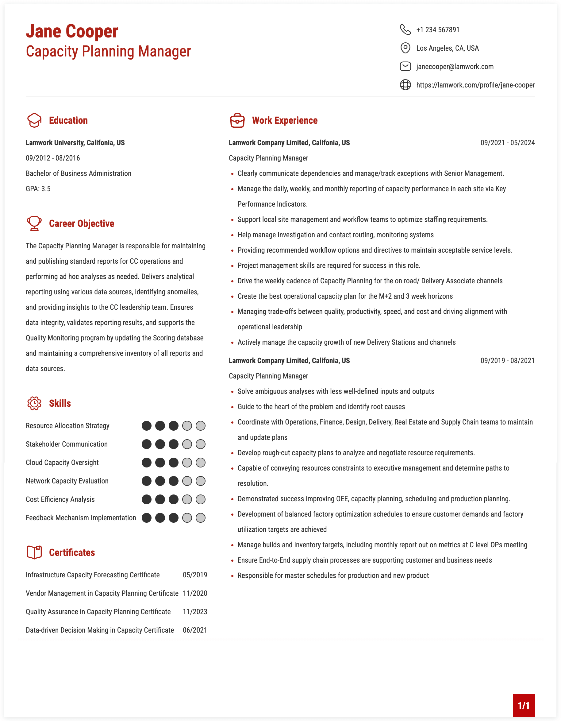 Capacity Planning Manager Resume Example