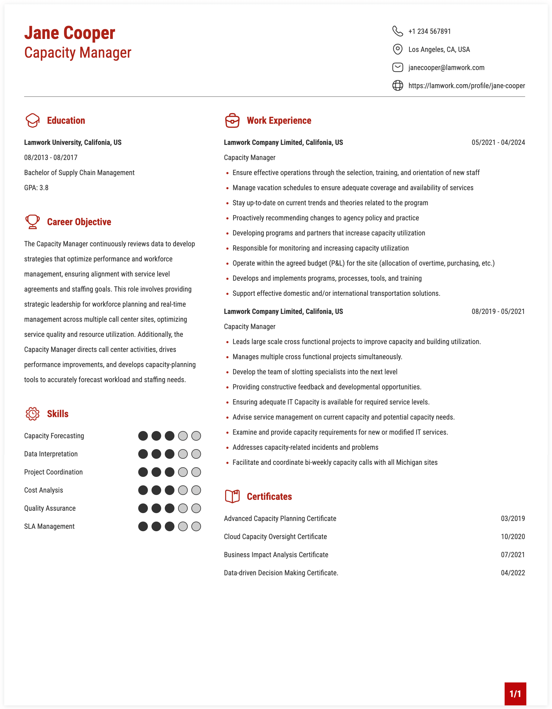 Capacity Manager Resume Example