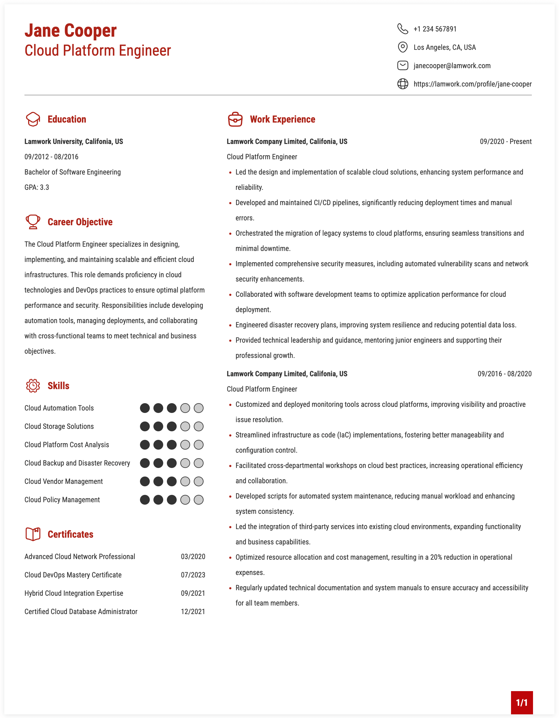 Cloud Platform Engineer Resume Example