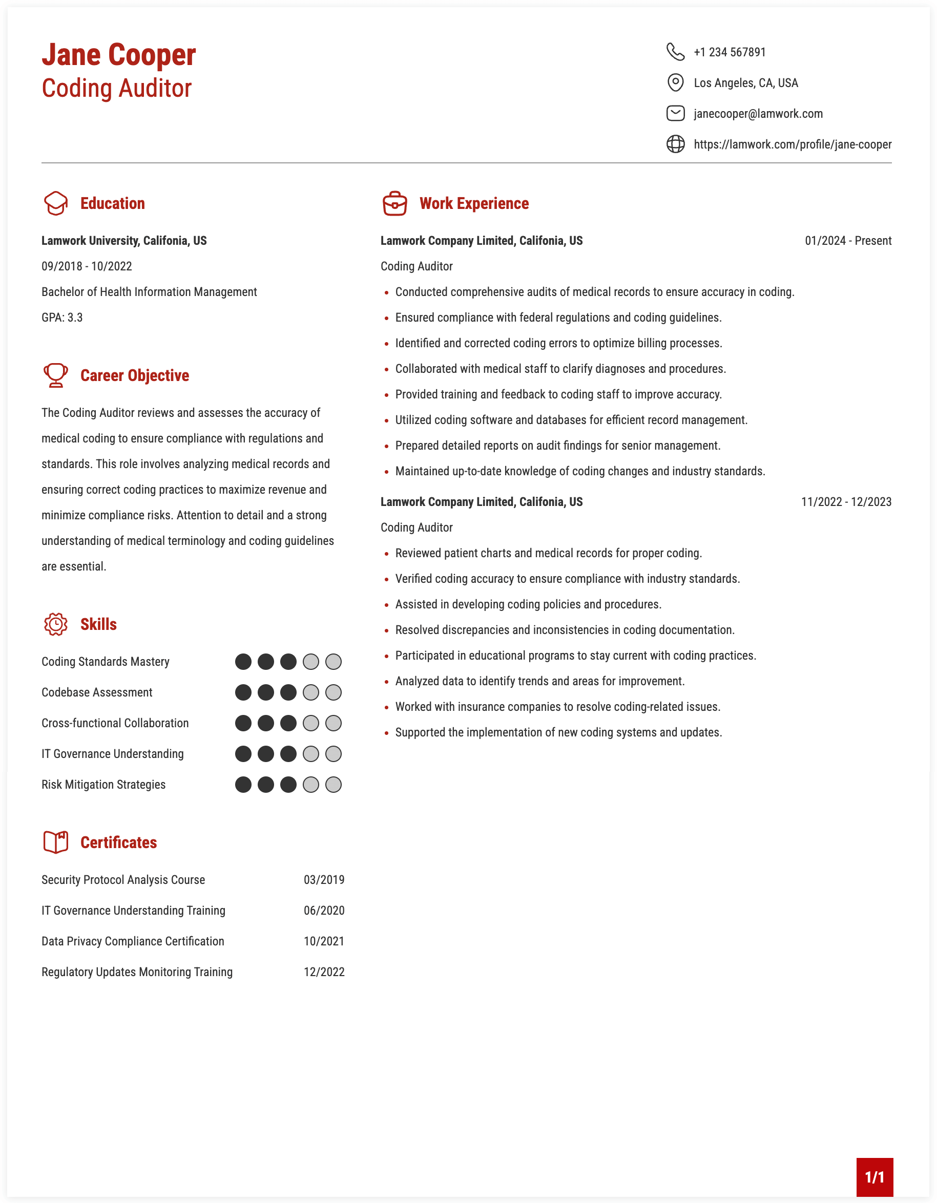 Coding Auditor Resume Example