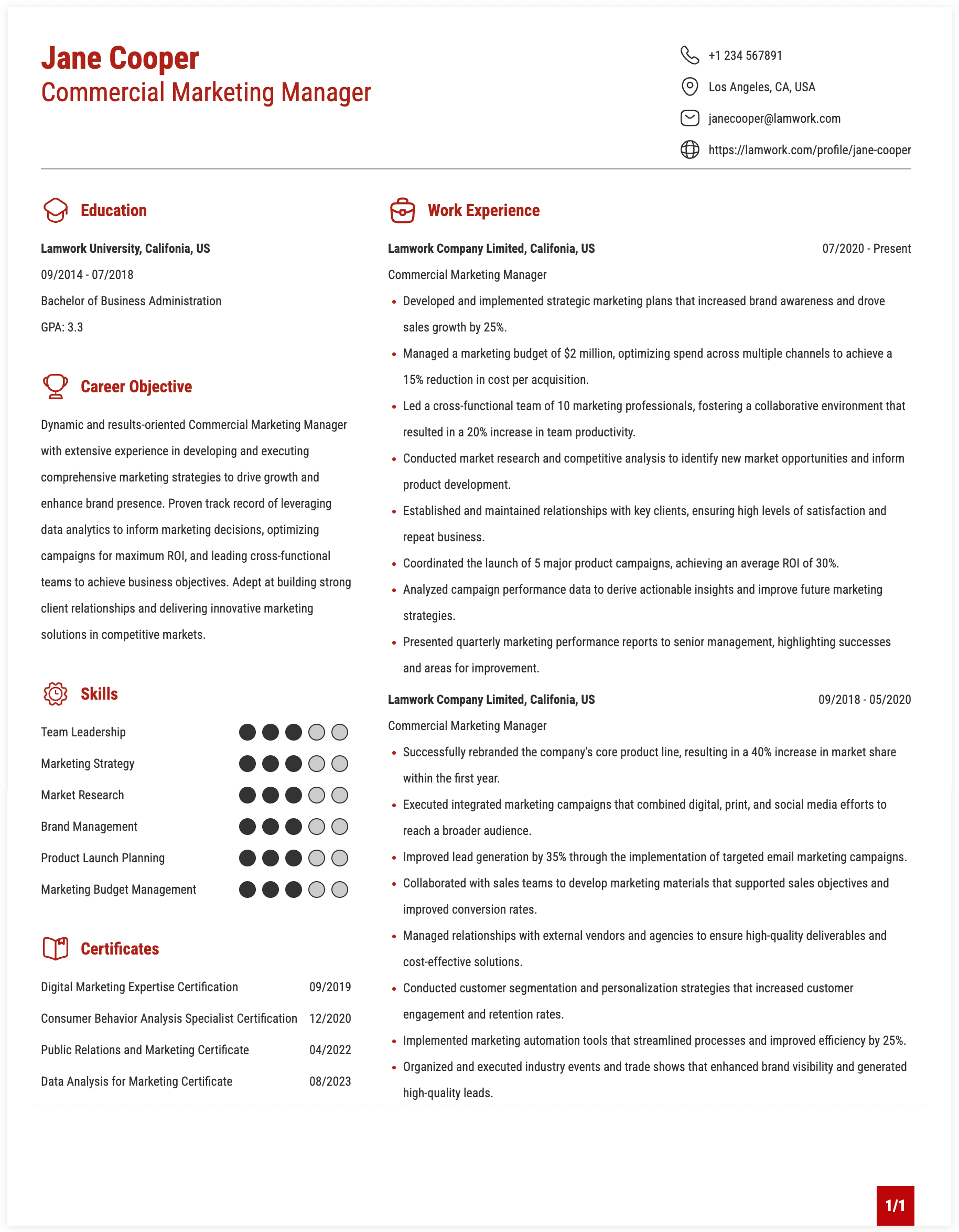Commercial Marketing Manager Resume Example