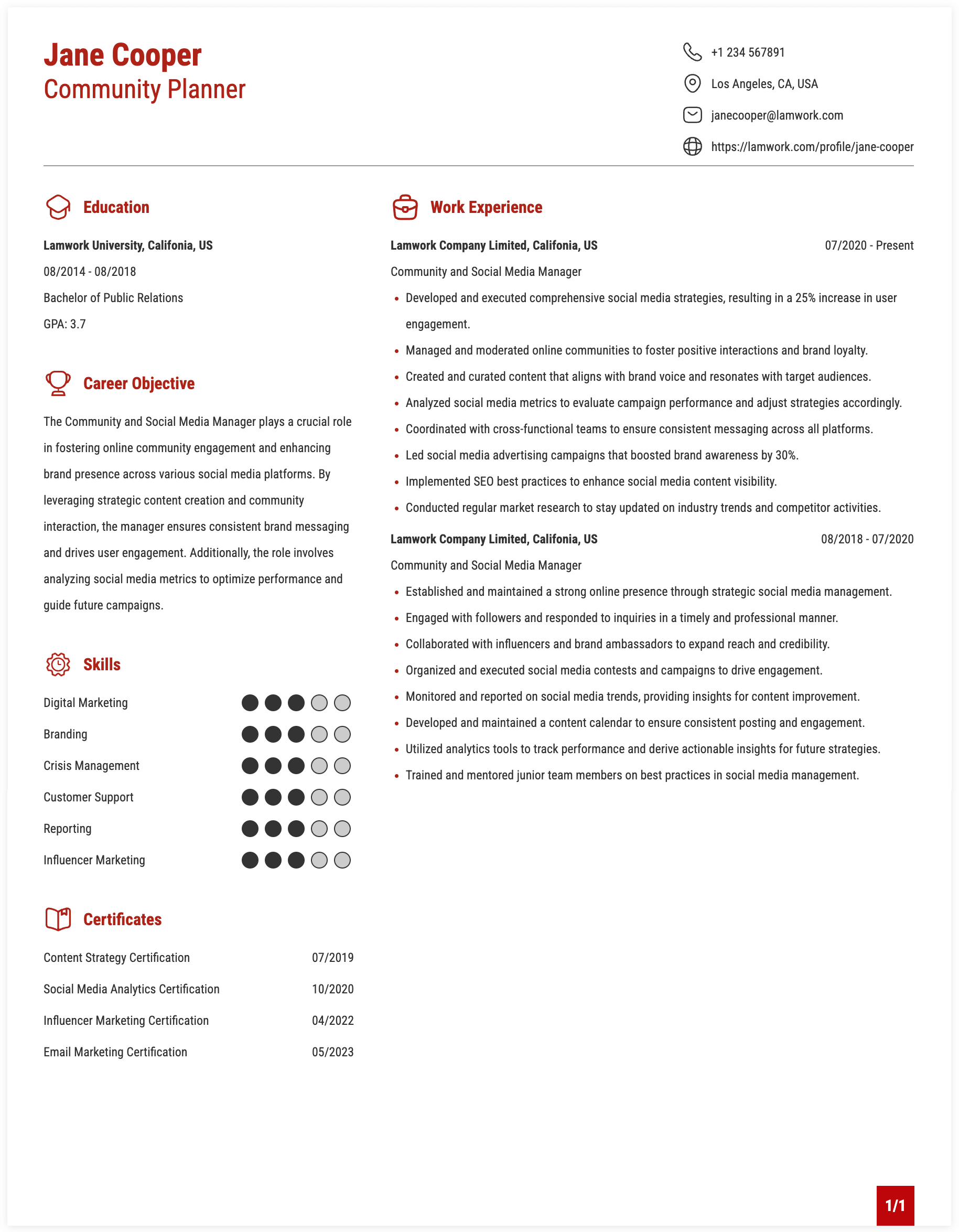 Community and Social Media Manager Resume Example