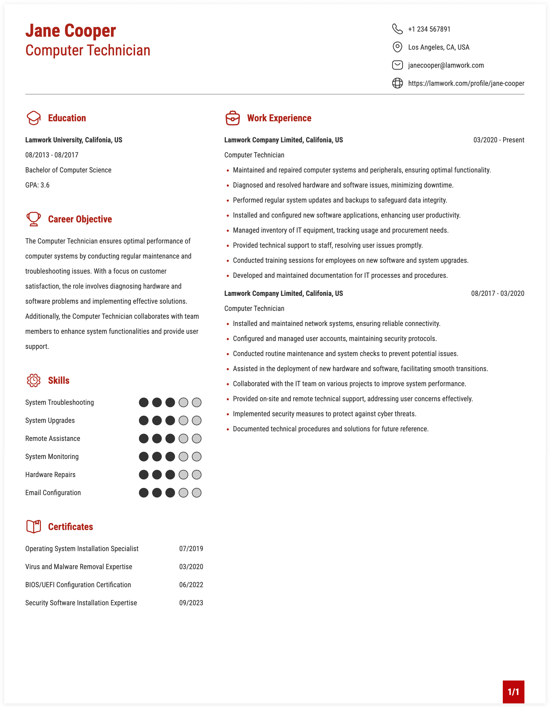 Computer Technician Resume Example