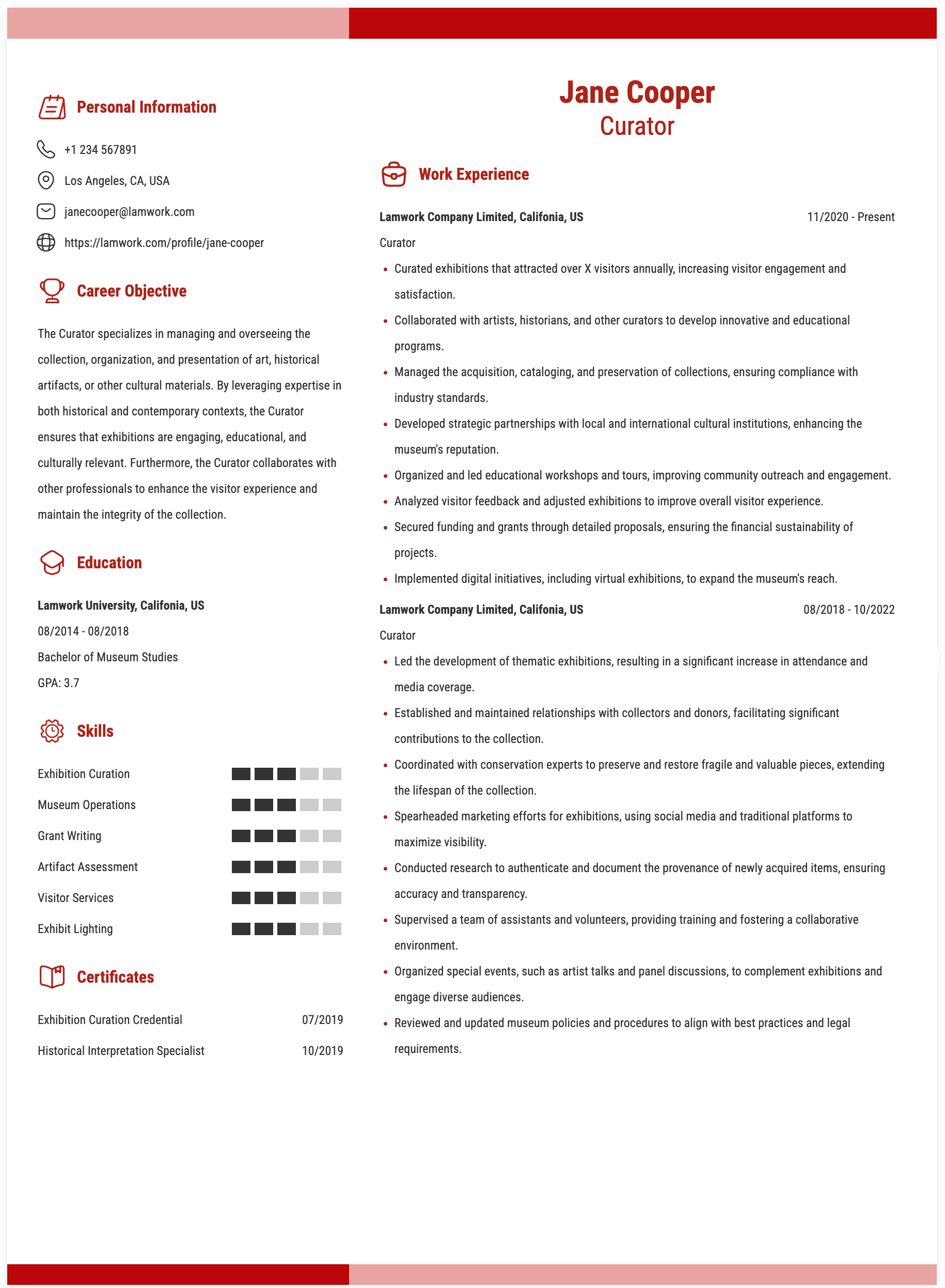 Curator Statement Example Curator Resume Example