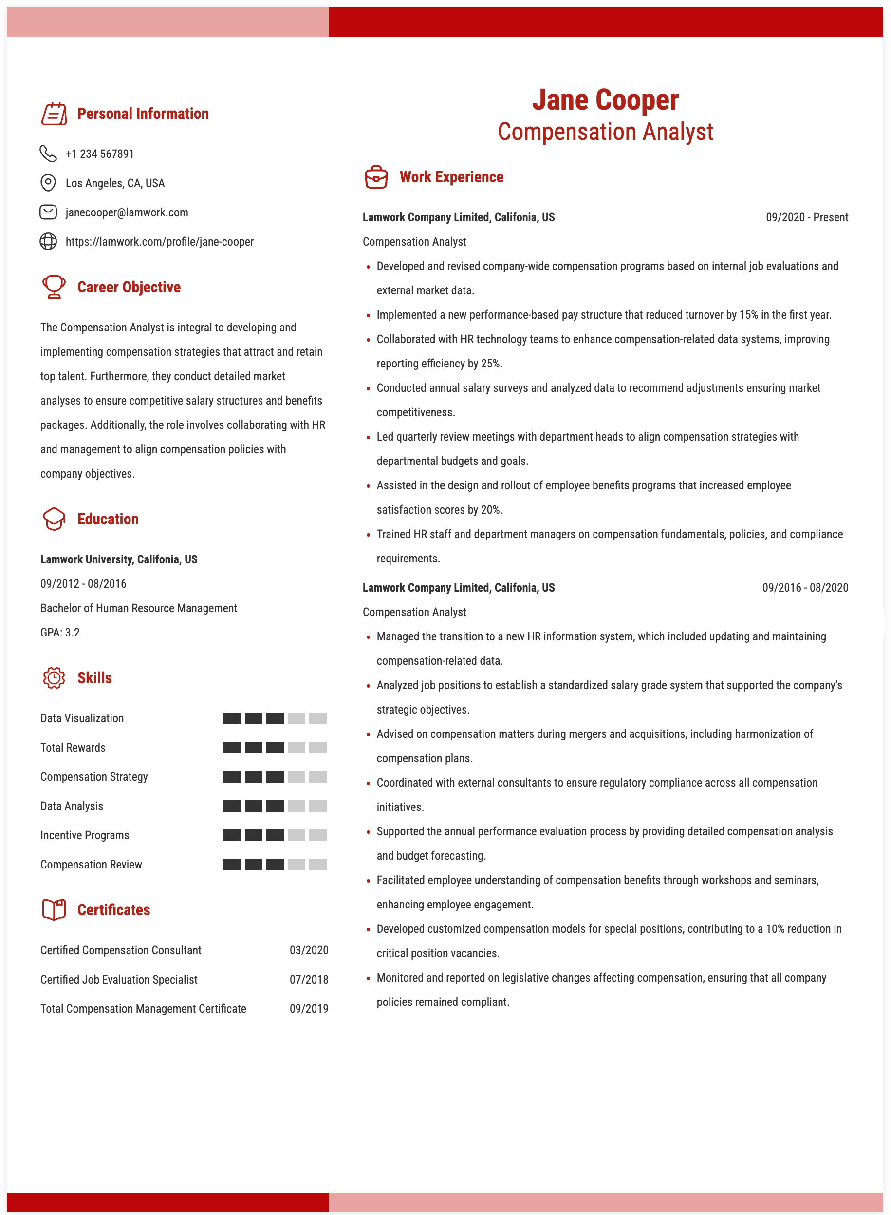 Compensation Analyst Resume Example
