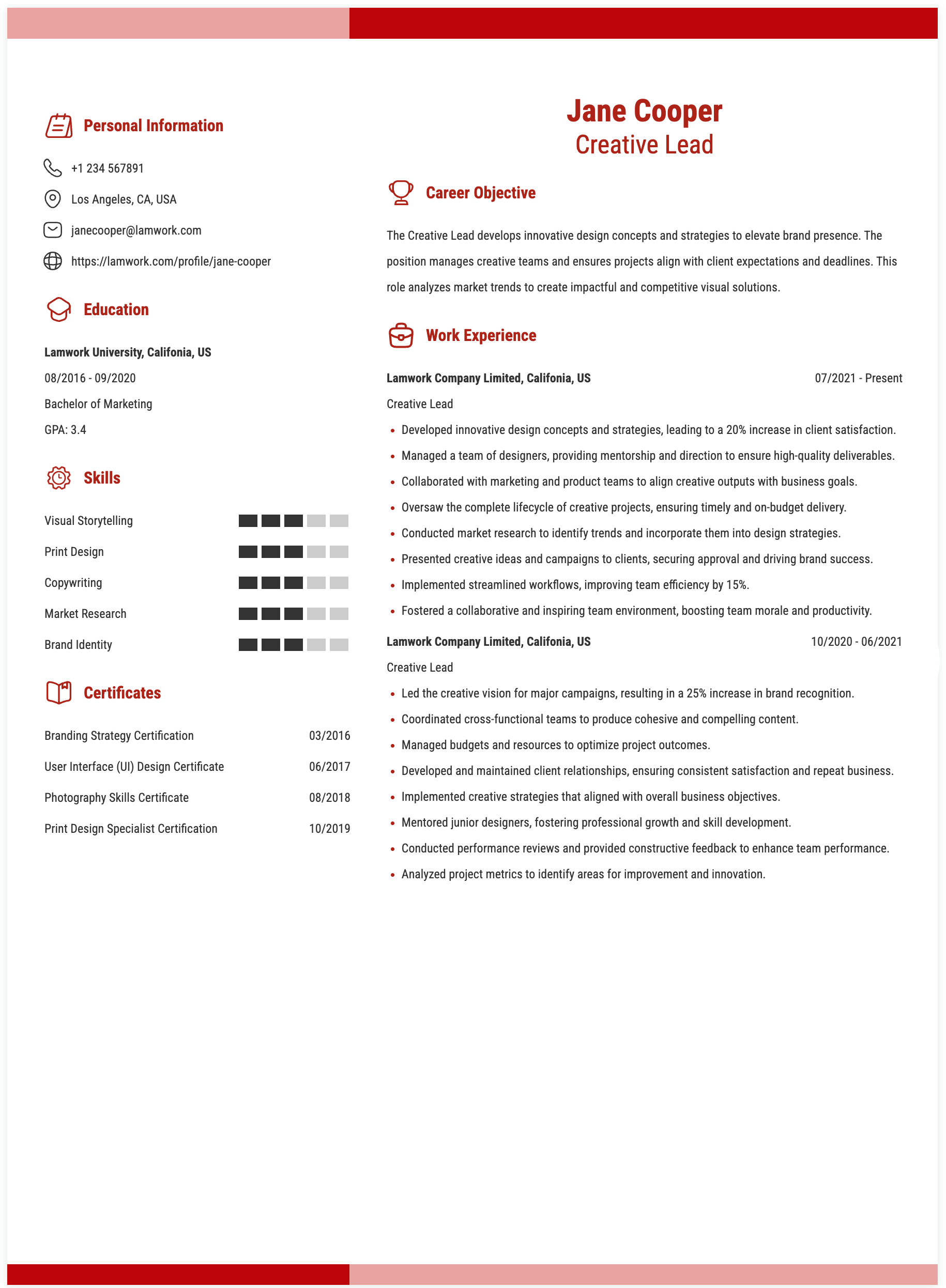 Creative Lead Resume Example