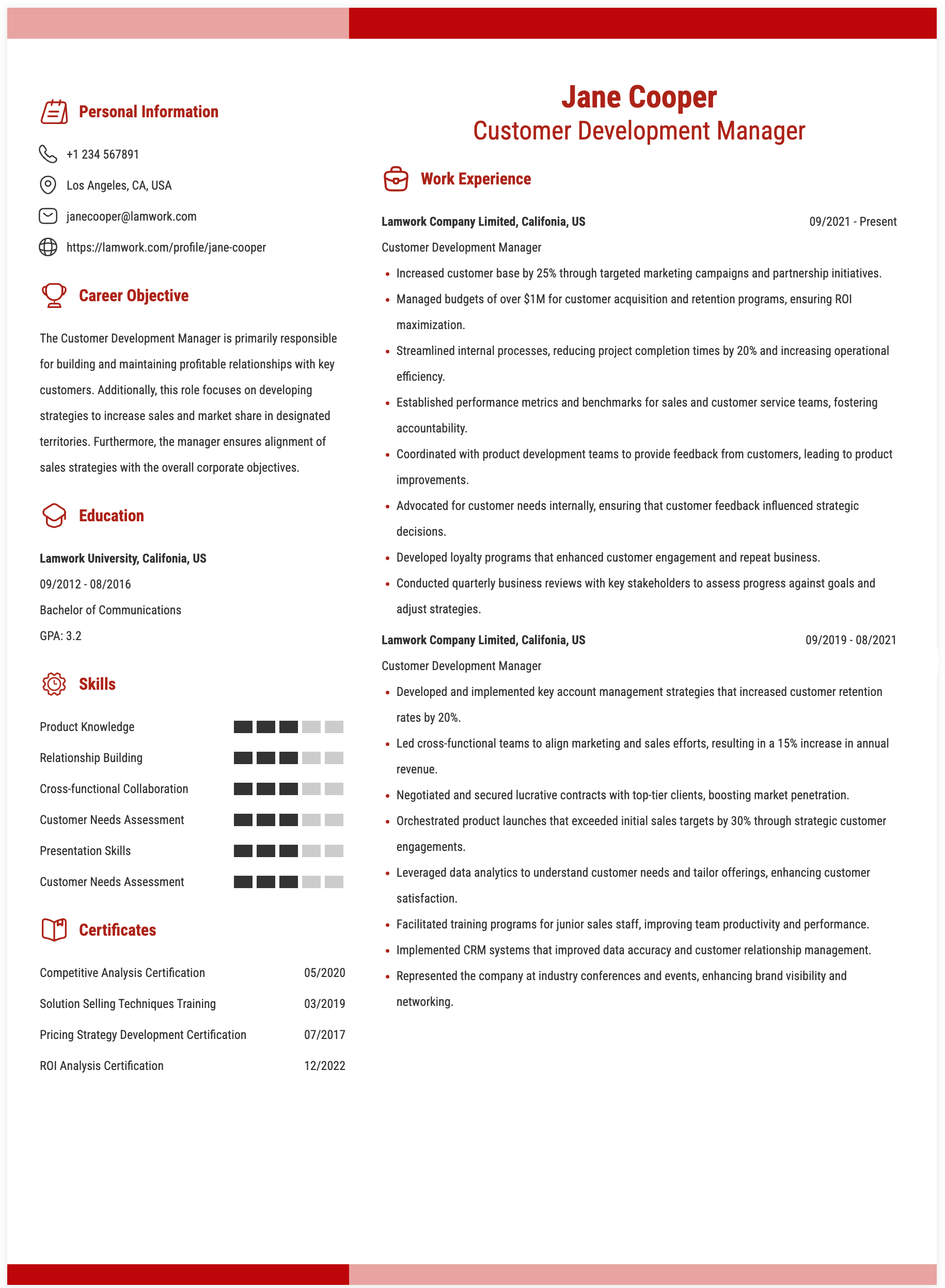 Customer Development Manager Resume Example