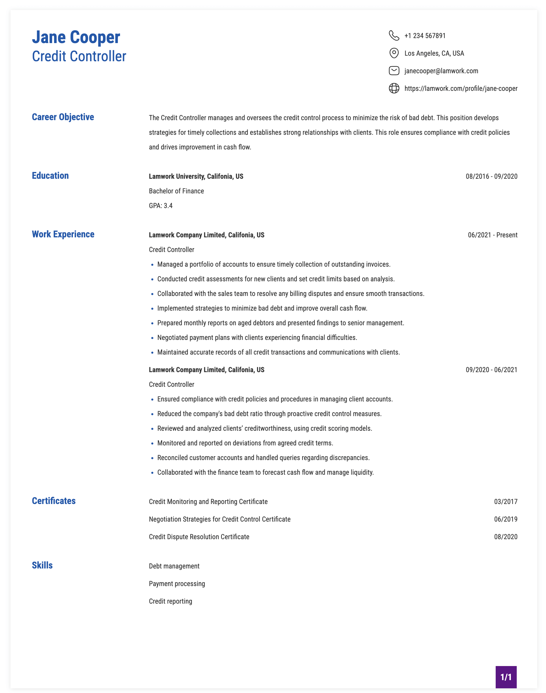 Credit Controller Resume Example