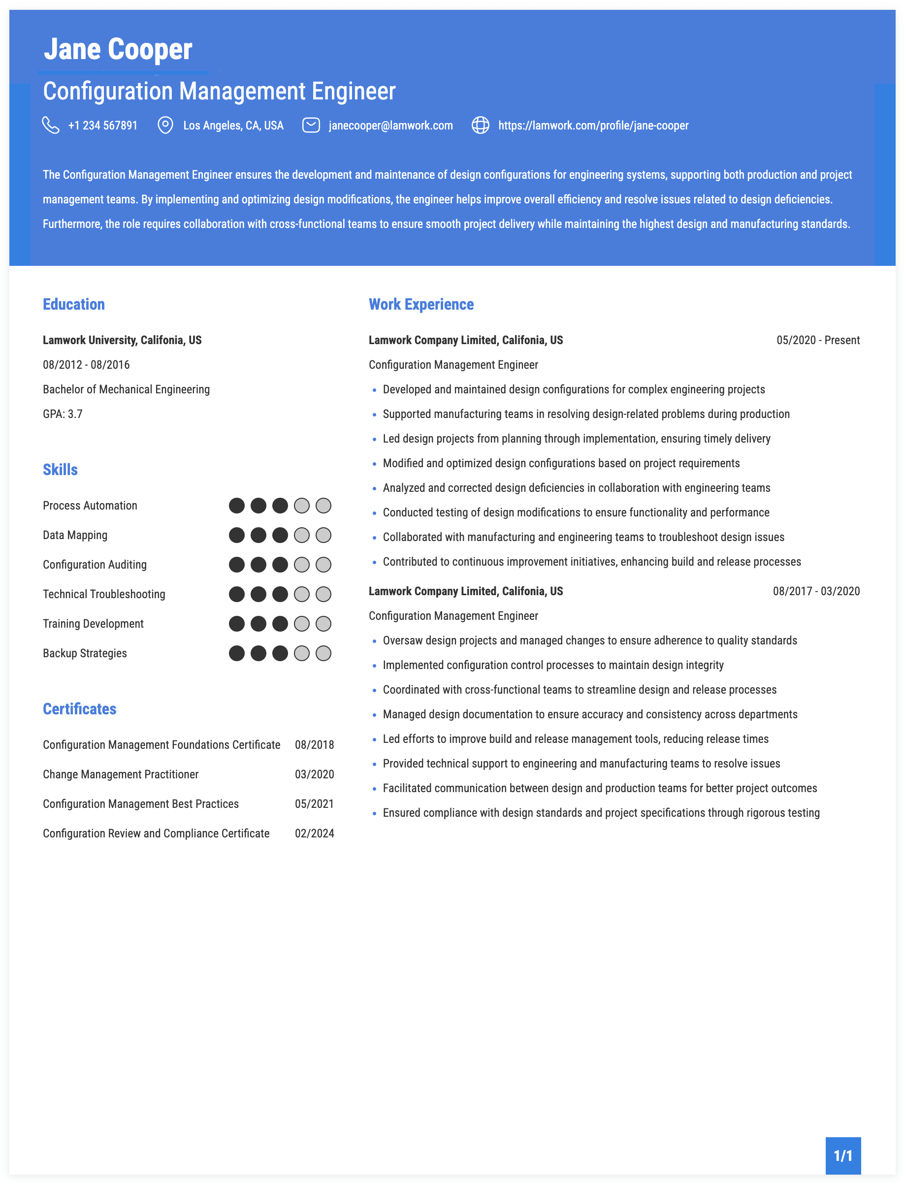 Configuration Management Engineer Resume Example