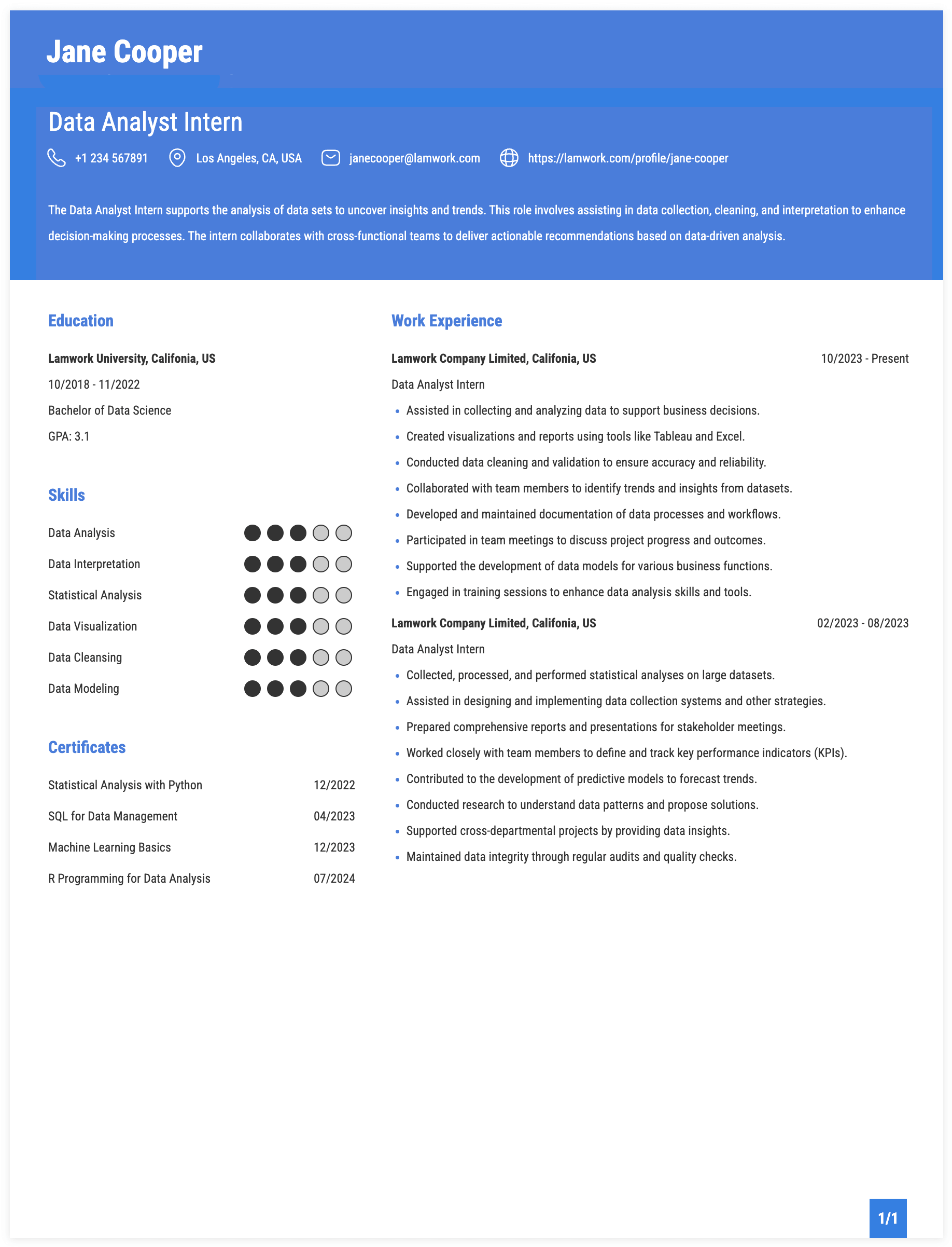 Data Analyst Intern Resume Example