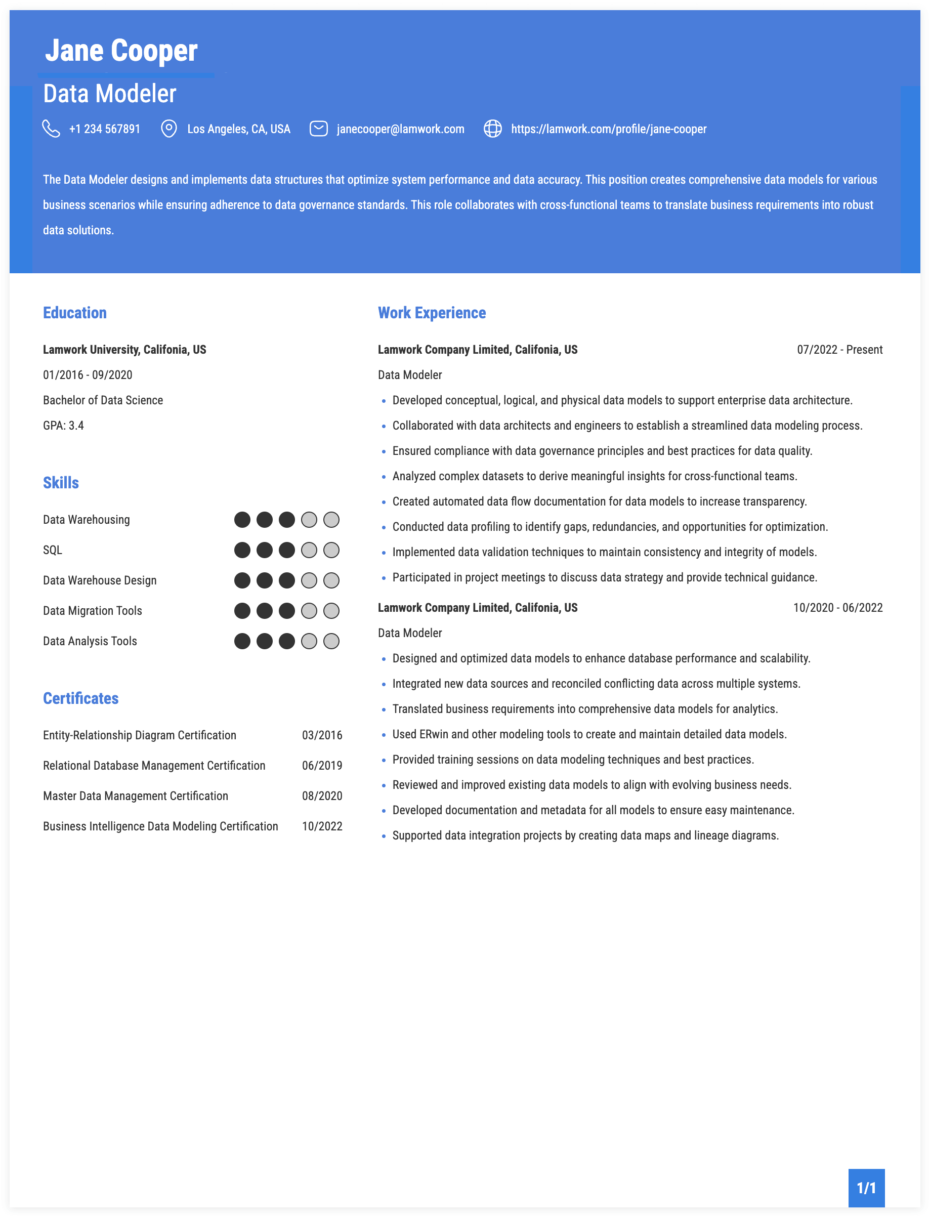 Data Modeler Resume Example