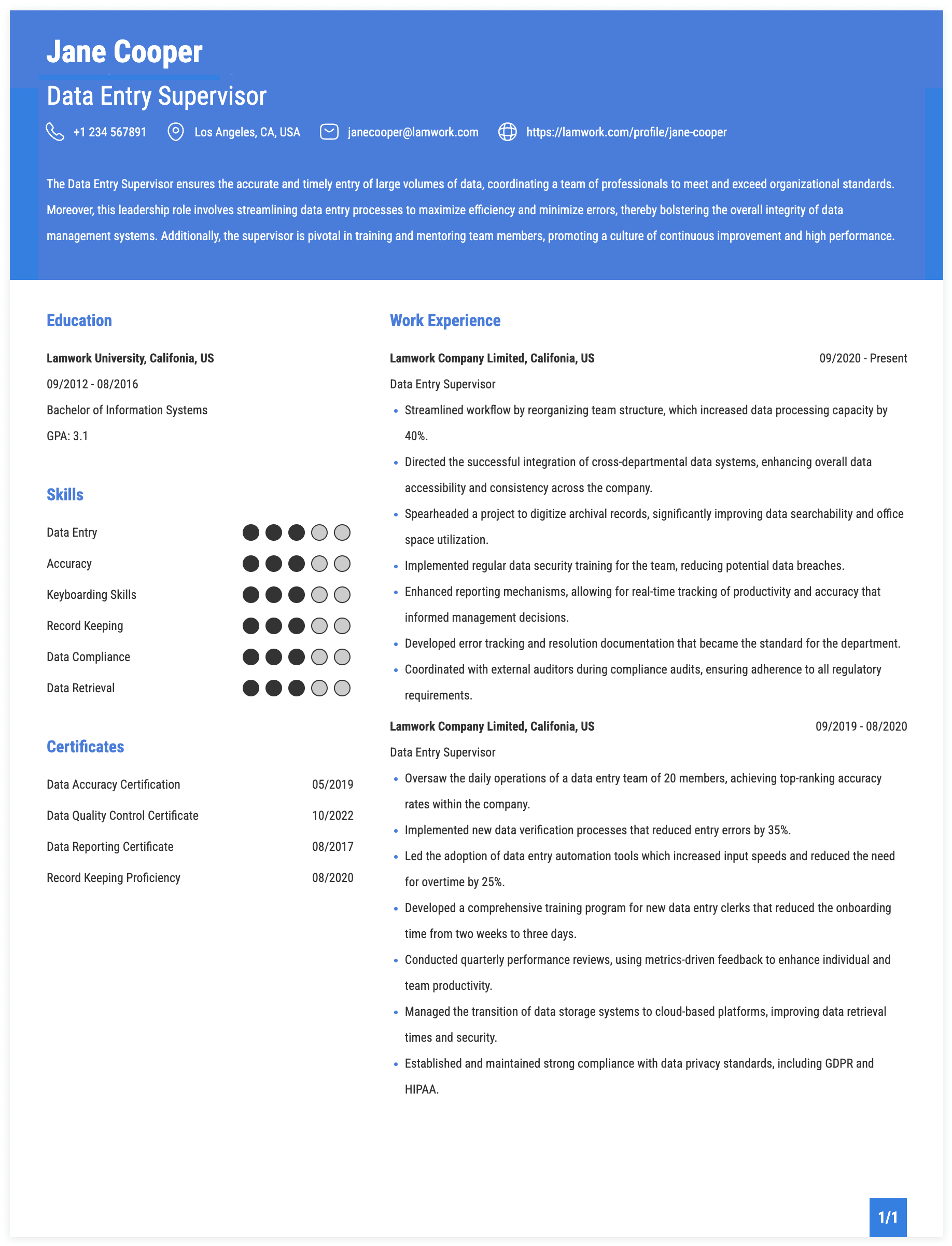 Data Entry Supervisor Resume Example