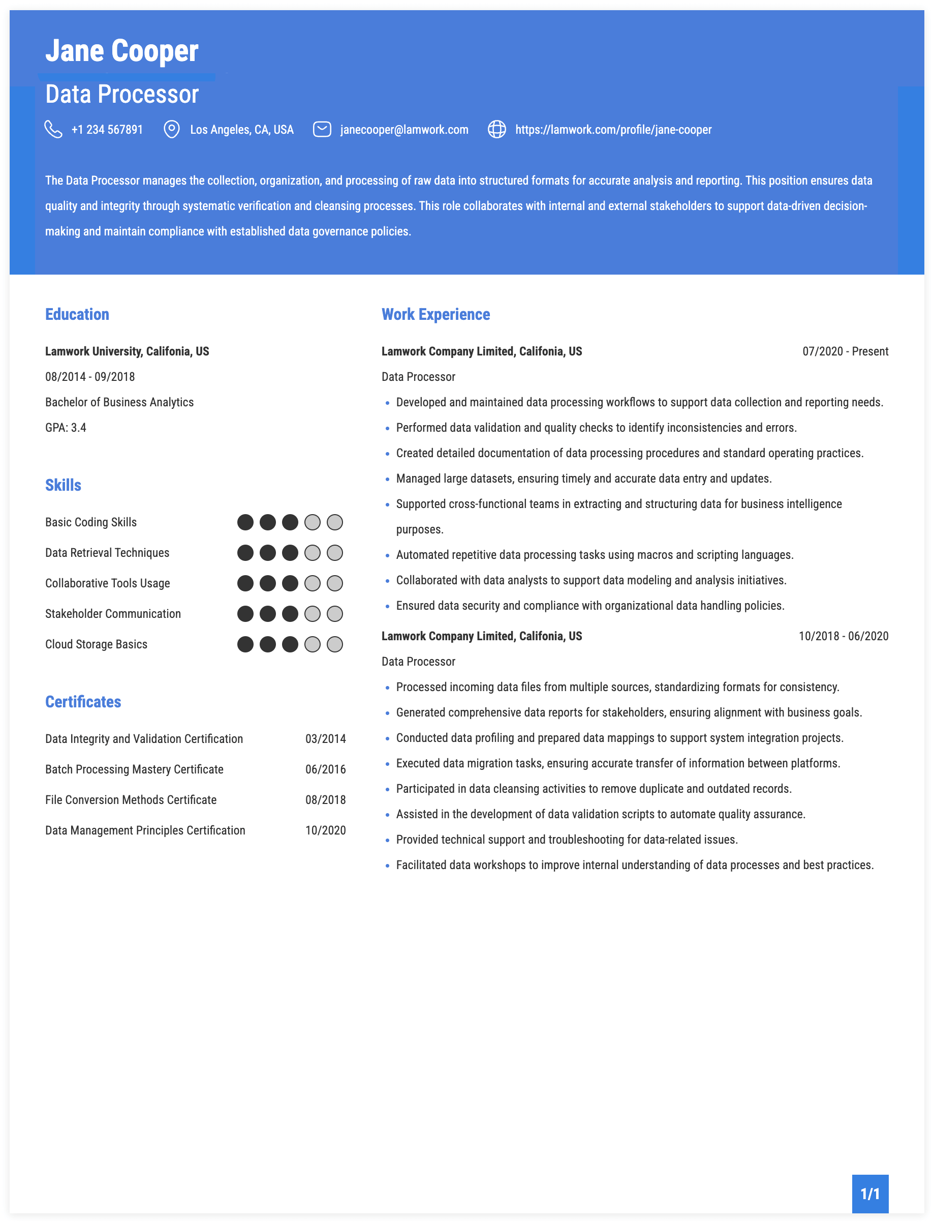 Data Processor Resume Example
