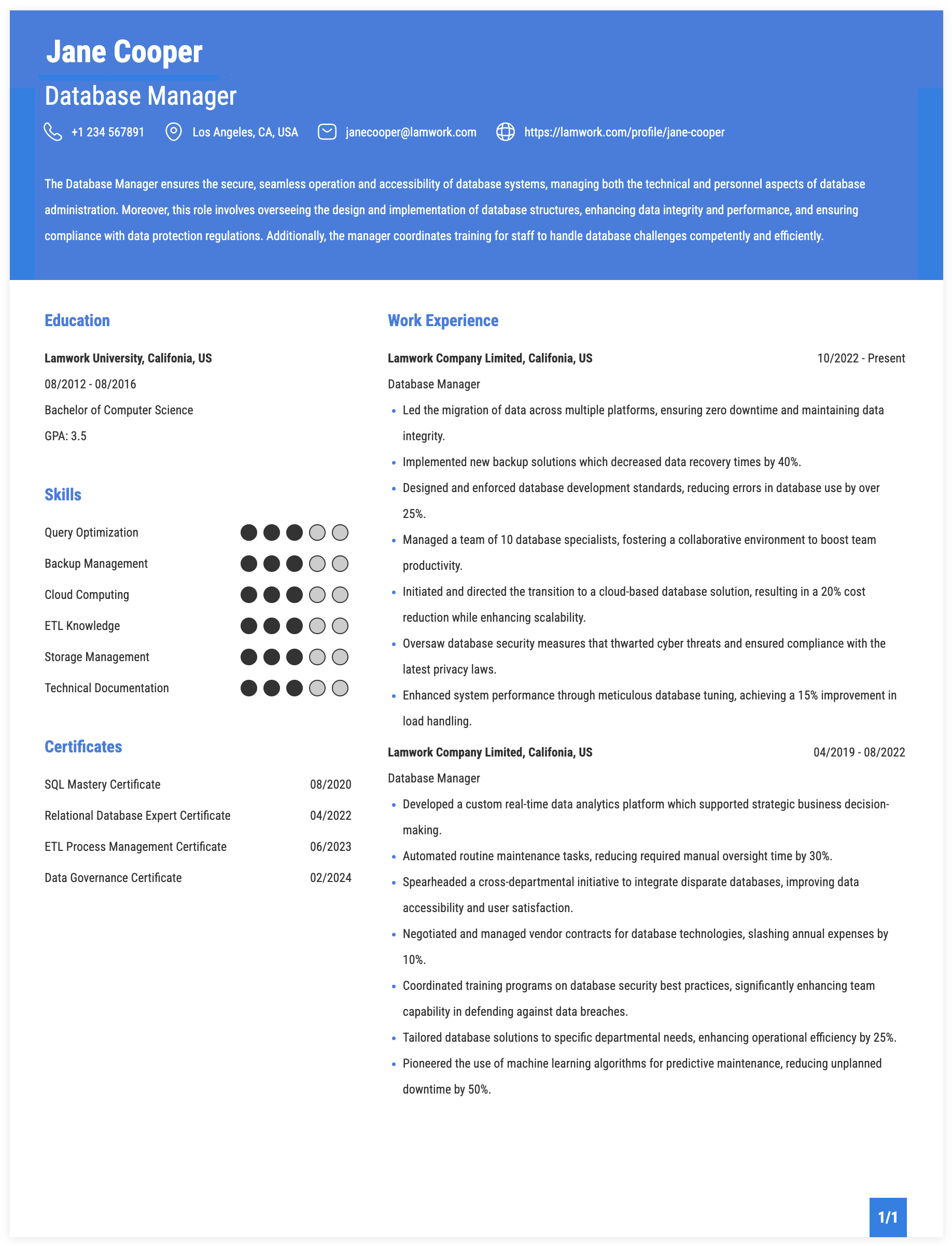 Database Manager Resume Example