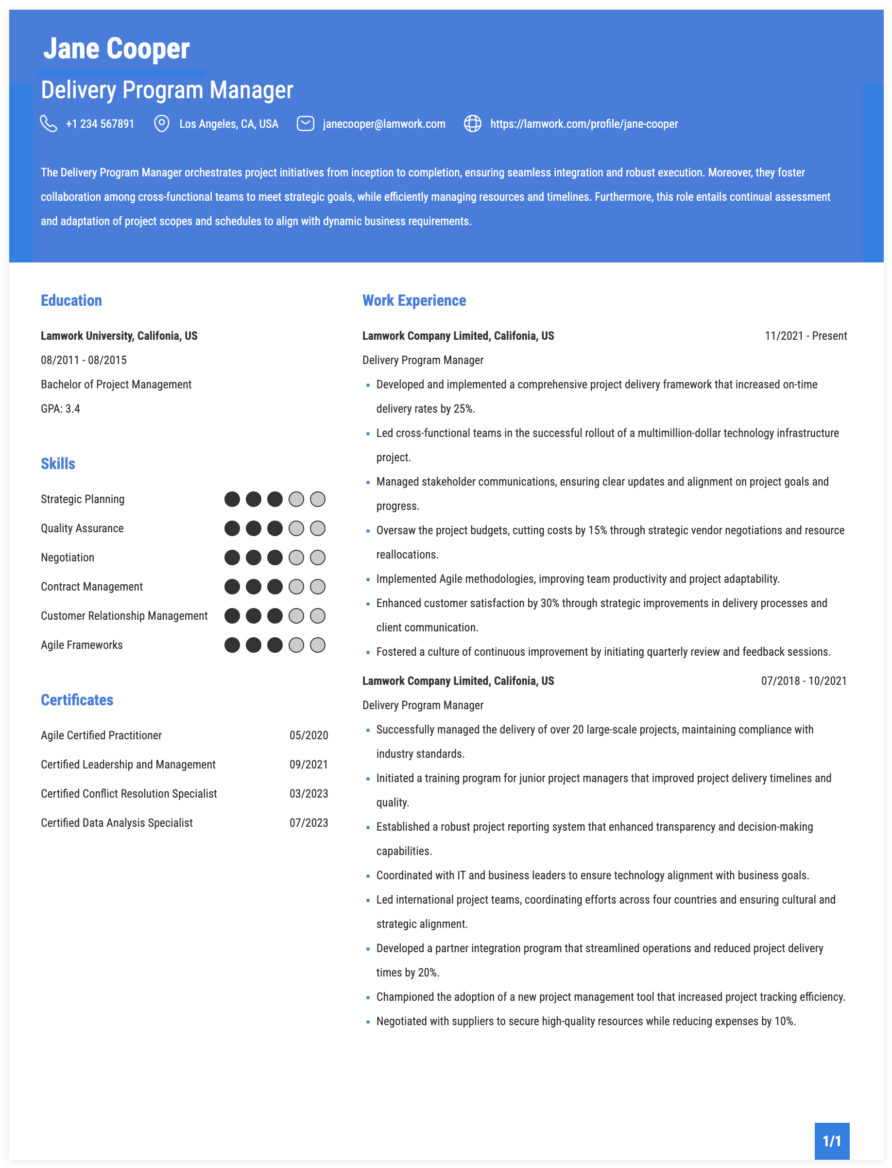 Delivery Program Manager Resume Example