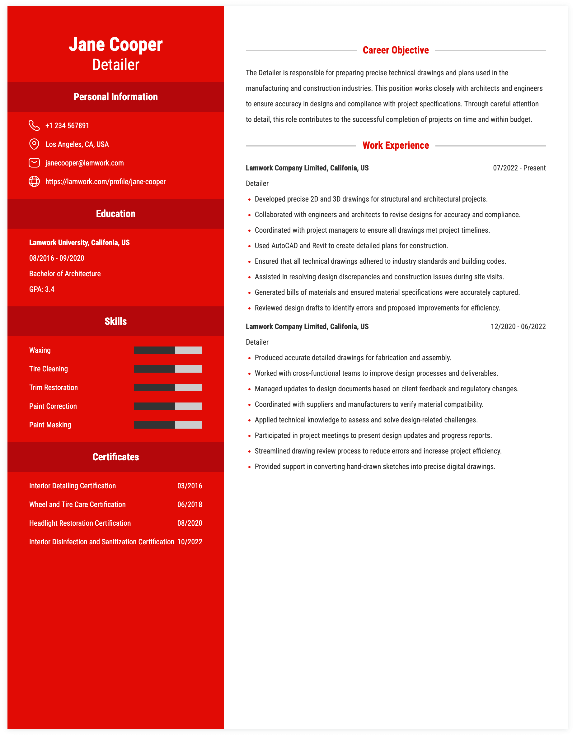 Detailer Resume Example