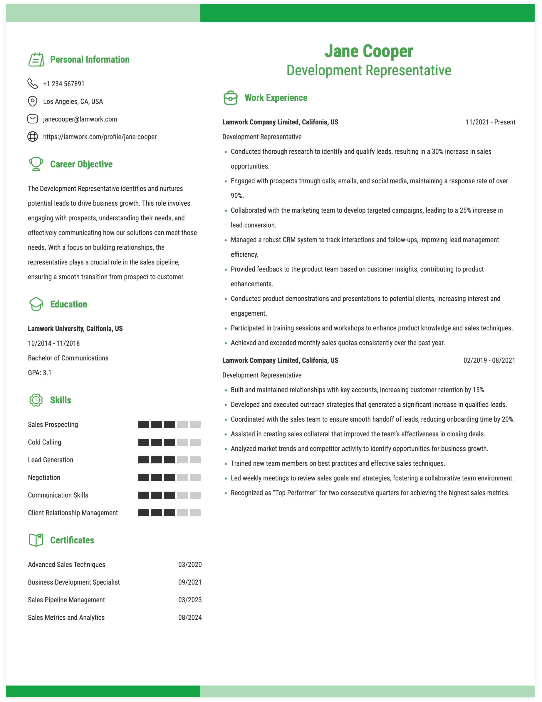 Development Representative Resume Example