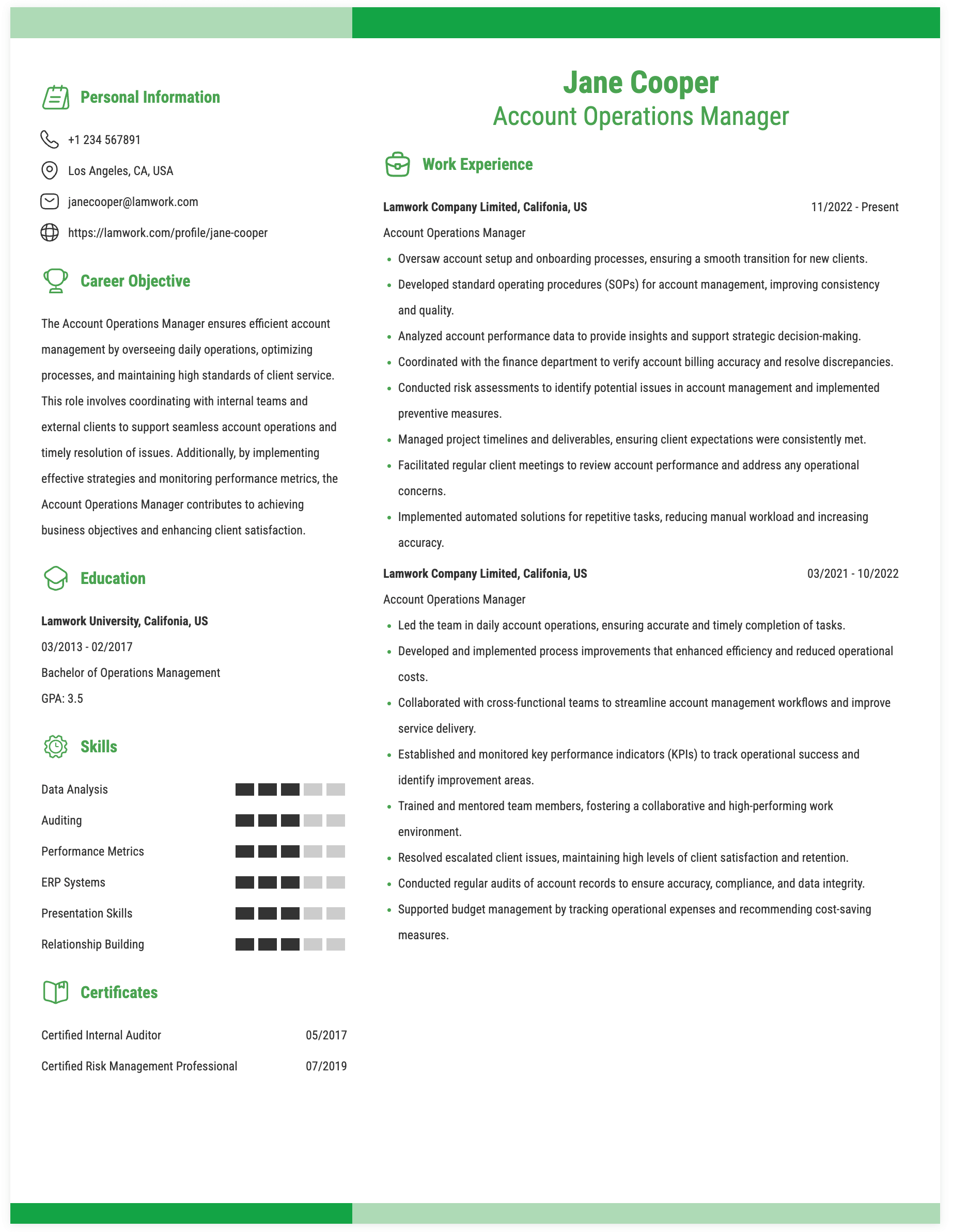 Account Operations Manager Resume Example