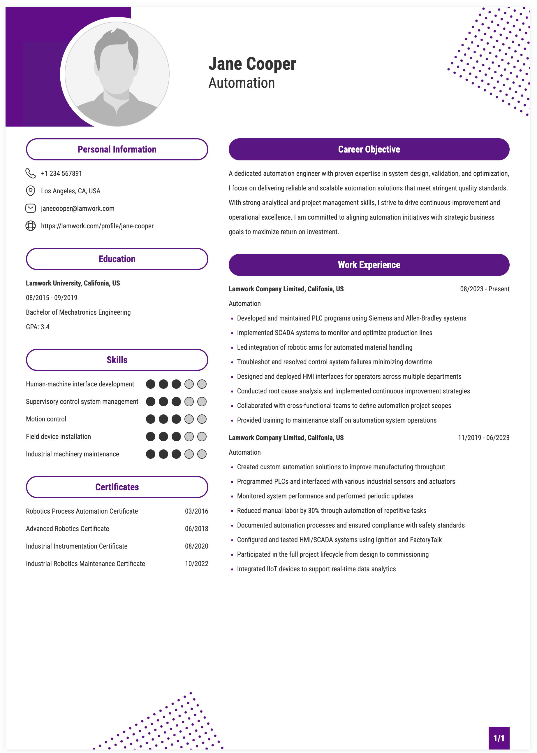Automation Resume Example