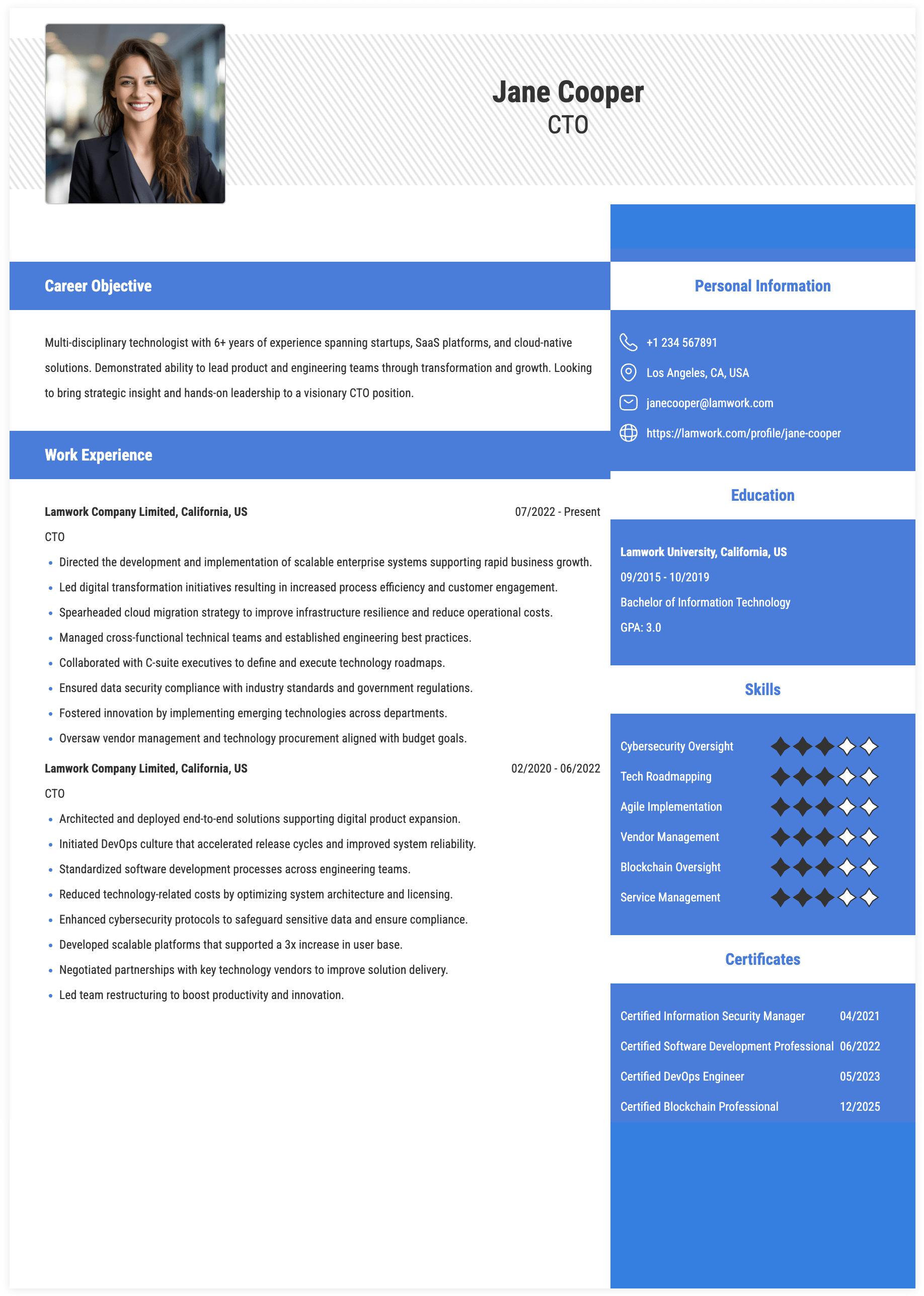 CTO Resume Example