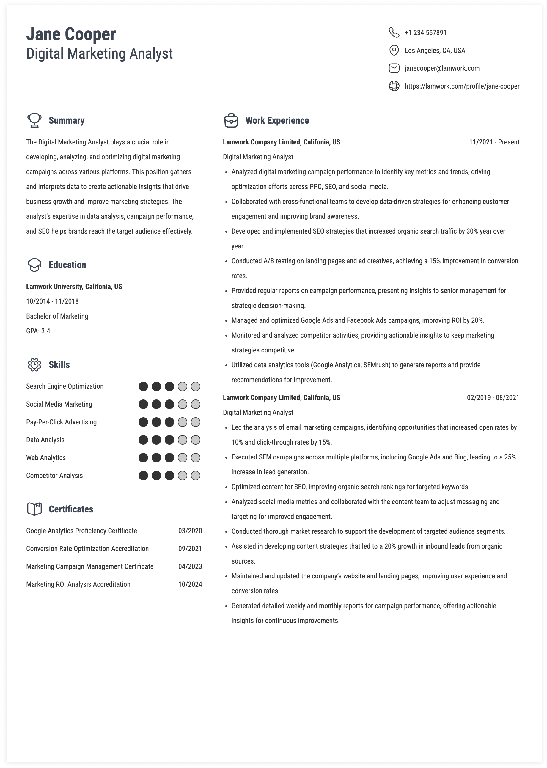 Digital Marketing Analyst Resume Example