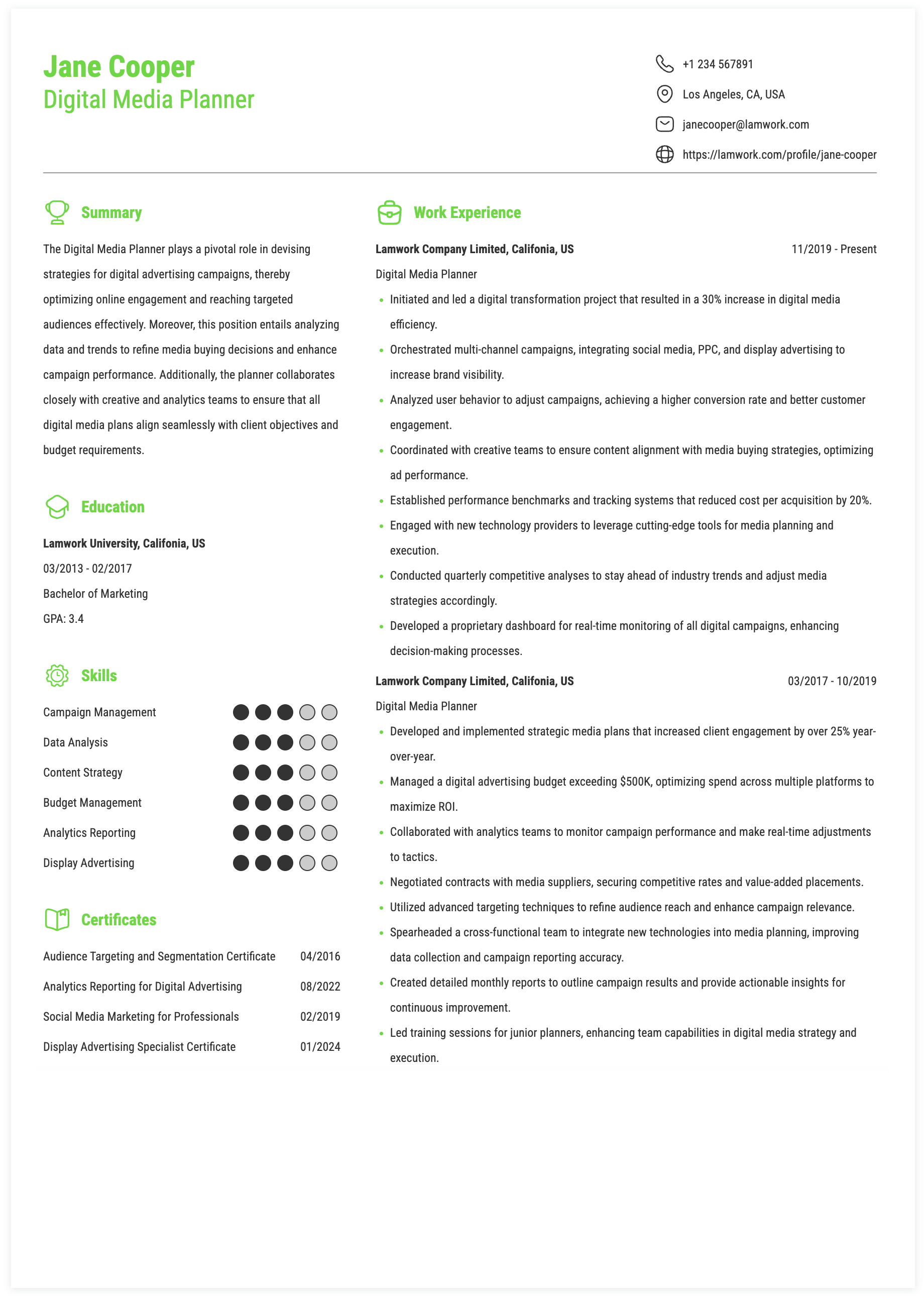 Digital Media Planner Resume Example