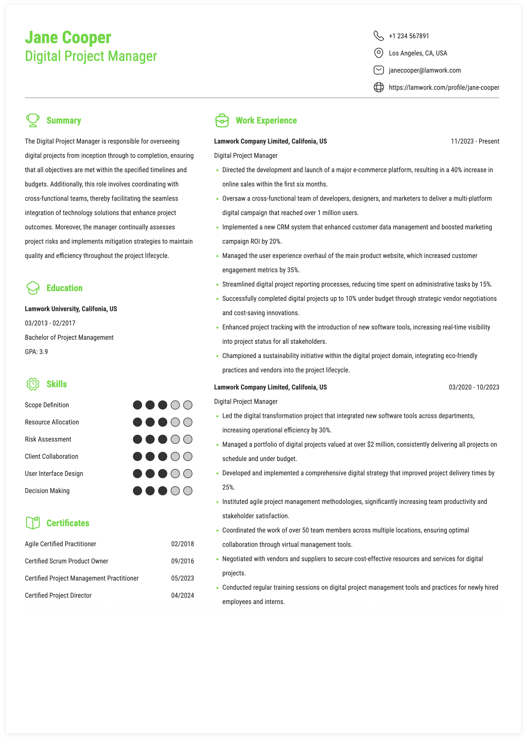 Digital Project Manager Resume Example