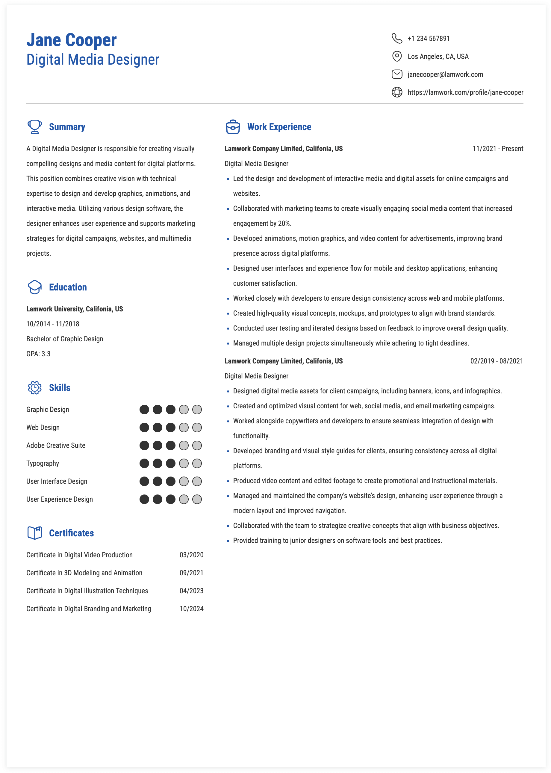 Digital Media Designer Resume Example